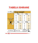 Royal Canin -BHN JACK RUSSELL ADULT - 3kg - Image 4