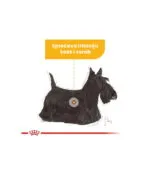 Royal Canin - CCN MINI DERMACOMFORT - HRANA ZA PSE - Image 3