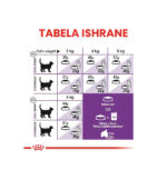 Royal Canin - FHN SENSIBLE HRANA ZA MAČKE - 400g, 2kg, 10kg - Image 4