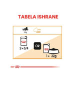 Royal Canin – INTENSE BEAUTY JELLY – 85g - Image 4