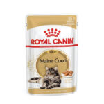 Royal Canin - MAIN COON - HRANA ZA MACE - 85g