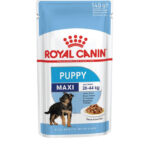 Royal Canin - MAXI PUPPY - HRANA ZA PSE -140g