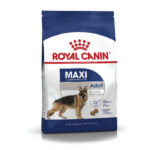 Royal Canin - SHN MAXI ADULT - HRANA ZA PSE