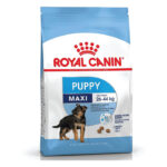 Royal Canin - SHN MAXI PUPPY - HRANA ZA ŠTENCE