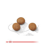 Royal Canin - SHN MAXI PUPPY - HRANA ZA ŠTENCE - Image 2