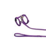 Nobby - KOMPLET ZA MACE DOTS