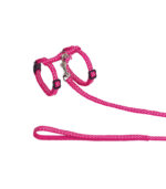 Nobby - KOMPLET ZA MACE DOTS - Image 2