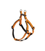 Nobby - "Soft Grip" - PRSNIK ZA PSE - U VIŠE BOJA I VELIČINA - Image 2