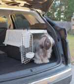 Ferplast - "ATLAS 40" TRANSPORTER ZA PSE SREDNJE VELIČINE - Image 3