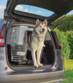 Ferplast - "ATLAS 70" VELIKI TRANSPORTER ZA PSE - Image 3