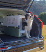 Ferplast - "ATLAS CLASSIC" SREDNJE - VELIKI TRANSPORTER ZA PSE - Image 2