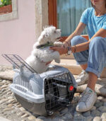 Ferplast - "ATLAS DELUXE OPEN" TRANSPORTER ZA MALE PSE I MAČKE - Image 2