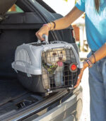 Ferplast - "ATLAS DELUXE OPEN" TRANSPORTER ZA MALE PSE I MAČKE - Image 3