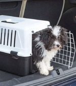 Ferplast - "ATLAS EL" TRANSPORTER ZA MAČKE I MALE PSE - Image 2