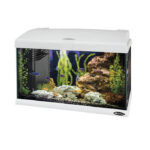 Ferplast - "Capri LED" Akvarijum - 40l, 100l