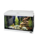 Ferplast - "Capri LED" Akvarijum - 40l, 100l