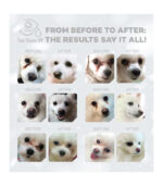 NATURE'S PROTECTION SUPERIOR CARE - SA INSEKTIMA - HRANA ZA MINI BIJELE PSE - Image 3