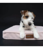 Memori Krevet za Male Pse - Image 7