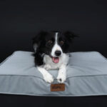 Memori Krevet za Velike Pse