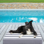 DUŠEK ZA DVORIŠTA I TERASE