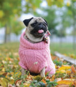 Džemper za pse - Baby roze - Image 4