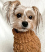 Džemper za pse - Bež