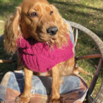 Džemper za pse - Ciklama