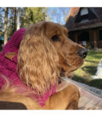 Džemper za pse - Ciklama - Image 3