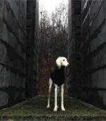 Džemper za pse - Crni - Image 3