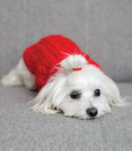 Džemper za pse - Crveni