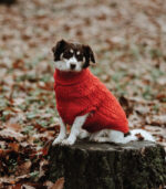Džemper za pse - Crveni - Image 4