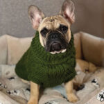 Džemper za pse - Maslinasto zelena