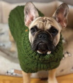 Džemper za pse - Maslinasto zelena - Image 2