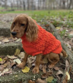 Džemper za pse - Narandžasti - Image 2