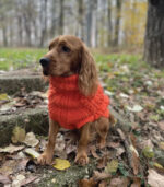 Džemper za pse - Narandžasti