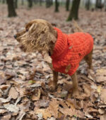 Džemper za pse - Narandžasti - Image 3