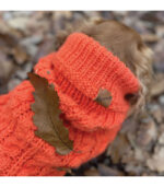 Džemper za pse - Narandžasti - Image 4