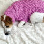 Džemper za pse - Roze