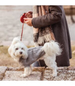 Džemper za pse - Sivi - Image 2