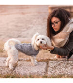 Džemper za pse - Sivi - Image 3