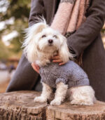 Džemper za pse - Sivi - Image 4