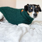 Džemper za pse - Tamnozeleni