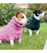 Džemper za pse - Tamnozeleni - Image 3