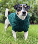 Džemper za pse - Tamnozeleni - Image 4