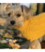 Džemper za pse - Žuti - Image 2