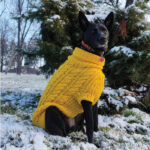 Džemper za pse - Žuti