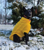 Džemper za pse - Žuti