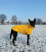 Džemper za pse - Žuti - Image 4
