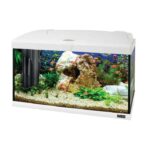 Ferplast - CAPRI 60 LED Bijeli - 60 L Akvarijum